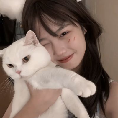 im电竞平台手机app下载